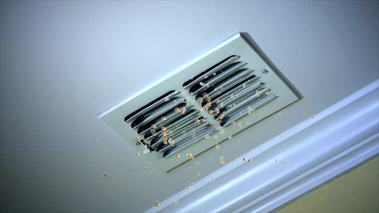 Best Home Air Vent Cleaning  in Eldridge, IA