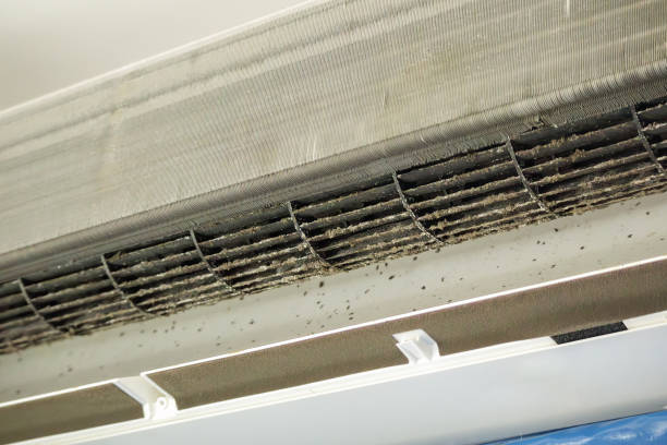 Affordable HVAC Duct Cleaning in Eldridge, IA